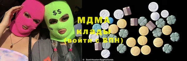 прущие грибы Аркадак