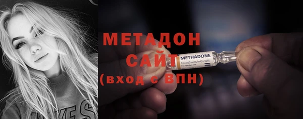 прущие грибы Аркадак