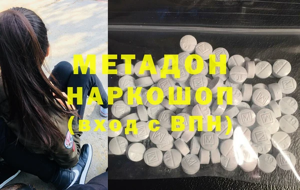 прущие грибы Аркадак