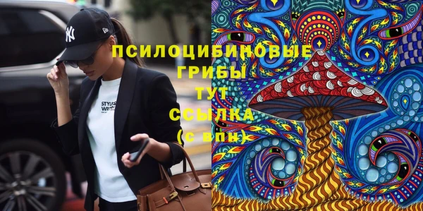 прущие грибы Аркадак